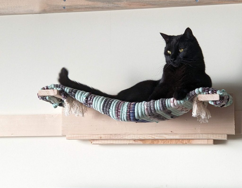 A cat lying down on a homemade cat hammock